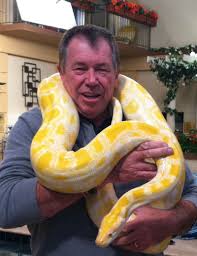 Image result for britney spears python