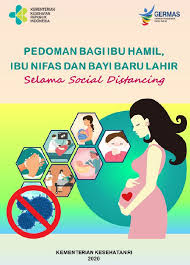 Com.arvira.buku.panduan.ibu.hamil.apk free download from official verified mir. Infeksi Emerging Kementerian Kesehatan Ri