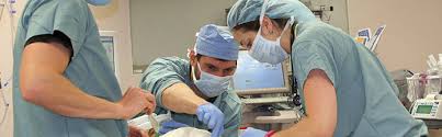 Pediatric Fellowship Ucla Anesthesiology Perioperative Medicine Ucla Health Los Angeles Ca
