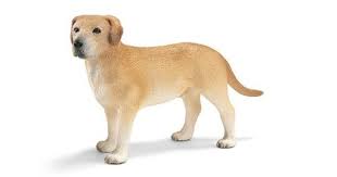Amazon Com Schleich Male Labrador Toy Figure Toys Games Labrador Toys Dog Toys Miniature Dogs