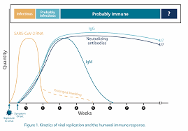 Image result for Wilson Test
