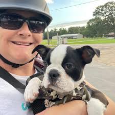 Profile for Harley's page