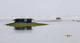 La végétation riche et diversifiée y crée un milieu propice à l'observation de la faune et offre des sites très attrayants pour la pratique d'activités de plein air dont la chasse et la pêche sportives. Les Differents Modes De Chasse En Baie De Somme Destination Baie De Somme