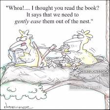 images?q=tbn:ANd9GcSeCida_Fuo4qbhcaMGlTbGlSbh8D_iYm9LvoDsOWuME5XtU84V&s