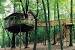 Inside Treehouses