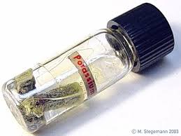 Es gehört gemeinsam mit natrium und chlorid zu den wichtigsten elektrolyten des bei stillenden beträgt der schätzwert für eine angemessene kaliumzufuhr 4 400 mg/tag (s. Kalium K Periodensystem Der Elemente Pse