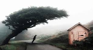 Artist of the day: Artist of the day, December 28: Ted Chin, an  American/Taiwanese surreal digital artist & photographer (#876)