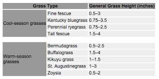 Mower Blade Tips To Keep Your Lawn Healthy