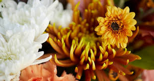 Before placing the mums in the. Three Cheers For Poms Bouqs Blog