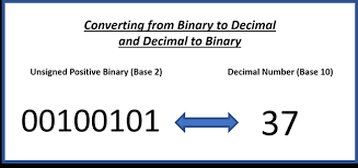 I have bcd values like below ������������0�. Converting Positive Integer Values In The Binary Numerical System Study Com
