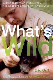 hollisbrooklinenewsonline.com