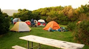 Not available on all sites. The 10 Best Places To Camp On Oregon S Coast Moon Travel Guides