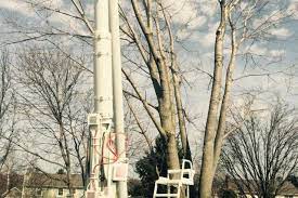 Armstrong Tree Services