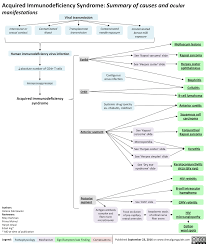 Image result for HIV Pathophysiology