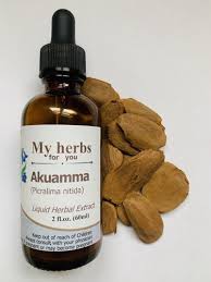 Image result for Picralima nitida