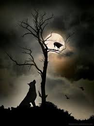 Pin By Denice Lucas On Animals Beautiful Moon Wolf Art Wolf
