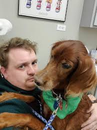 Dog hit Carrier Mills IL, taken to Marion for care SHARED POST