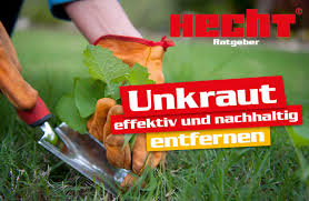 Zahlreiche schmetterlinge sind auf brennnesseln, sauerampfer und co. Gartenarbeiten Im Februar Erstes Unkraut Jaten Hecht Garten