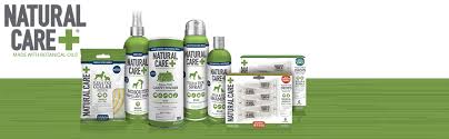 Amazon Com Natural Care Flea And Tick Spray For Dogs And Cats Flea Treatment For Dogs And Cats Flea Killer With Certified Natural Oils 14 Ounces Pet Supplies