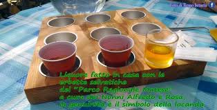 Un bicchierino gustoso per concludere il pasto con un ottimo liquore al caffè. Caffe E Liquore Amaro Fatto Dai Nonni Con Le Erbette Del Parco Regionale Del Matese Ottimo Aufnahme Von Locanda Dai Nonni Letino Matese Tripadvisor