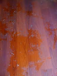 How To Remove Wax And Oil Soap Cleaners From Wood Floors House Care Cleaning Wood Floors Cleaning Laminate Wood Floors Hardwood Floor Wax