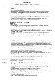 Your resume skills section is important for finance jobs because hiring managers are looking for the skills section of your finance resume should show you're adept at quantitative analysis and report writing, and proficient in industry software. Finance Project Manager Resume Samples Velvet Jobs