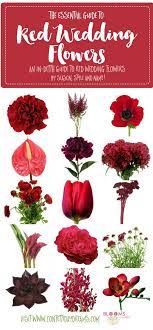 These flowers, commonly referred to as mums, are practically synonymous with autumn. Names And Types Of Red Wedding Flowers With Seasons Pics Red Wedding Flowers Red Bouquet Wedding Wedding Flower Guide