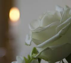 Leonard "Wayne" Moulton