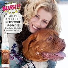 Amazon.com: The Blissful Dog Blissfully Fresh Face Wash