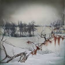 Bildergebnis für Anthony Goicolea