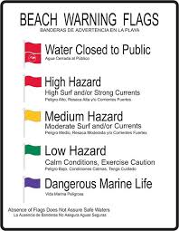 What Do Beach Flag Colors Mean Destin To 30a Beach Flags Panama City Beach Florida Destin Florida Vacation