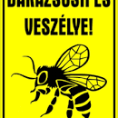 Képtalálat a következőre: „méhek darazsak eszakhirnok.com”