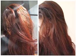 Fai lo shampoo ed applica la sherazade a capelli umidi e tamponati. Another Blog In The Wall Henna Experience How To Sherazade