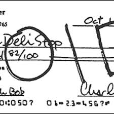 In the payment amount box and again if it fills overwrite void on it. How To Void A Check Instructions And Example Toughnickel