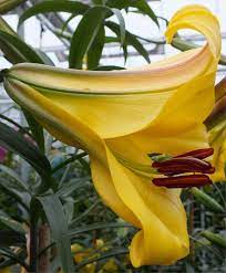 Pin On Drops Of Sunshine