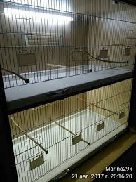 Pin Oleh John Gonzalez Di Pet Birds Kandang Burung Sangkar Burung