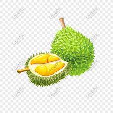 Deal on origin advantage eplus for 12mos Durian Png Image Psd File Free Download Lovepik 401560474