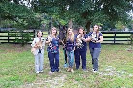 Mobile vet and house call services in orlando, winter park, winter springs, lake mary, oviedo, altamonte springs, maitland, windermere, winter i completed my doctorate in veterinary medicine and surgery at the university of florida in gainesville, florida. Holistic Veterinary Care Of Cfl Orlando Style Magazine