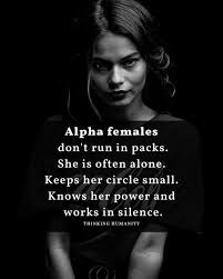 14 famous quotes about alpha female: Pin By Sunny Day Deals On I Spy Life Quotes In 2021 Alpha Female Life Quotes Human
