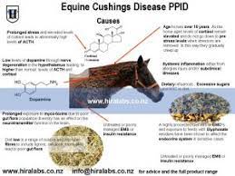 Cushings Hira Laboratories