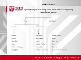 Kata nama am hidup bukan manusia. Minggu 04 Golongan Kata Kata Nama Ppt Download