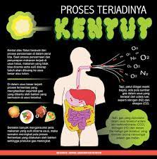 Penghasilan gas ini adalah normal, malahan, semua individu menghasilkan gas dan perlu membuang angin untuk mengurangkannya secara purata sebanyak 15 hingga 20 kali dalam sehari. Daftar Makanan Yang Bisa Memicu Kentut Persagi Bandung