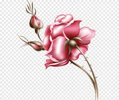 We did not find results for: Rose Gate Png Images Pngegg