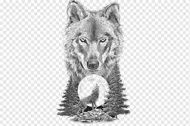 Maybe you would like to learn more about one of these? Gray Wolf Illustration Gray Wolf Art In Motion Tattoo Studio Tattoo Artist Drawing Sketch Animal Wolf Mammal Painted Animals Png Pngwing