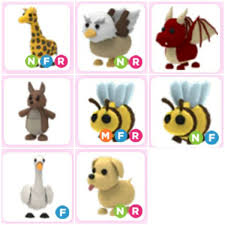 Mi Inventario 2020 Pet Adoption Certificate Pet Adoption Party Pet Store Ideas