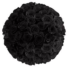 The last of the roses. 100 Black Roses Overnight Globalrose