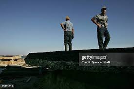 232 Louis Platt Stock Photos, High-Res Pictures, and Images