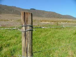 Wooden fence harmoniously combines with any architectural style and other materials. South Africa Cape Town De Grendel Wine Estate And Restaurant Barbed Wire Fence Pole Farm Wooden Pole Wooden Fence Pole Cc0 Public Domain Royalty Free Piqsels