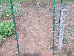 The best remedy is to install a chicken wire fence. Chicken Wire But No Chickens Aka Our Garden Plan Kimversations