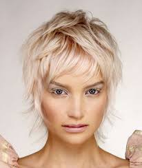 Diane McCammon (dinasorr)